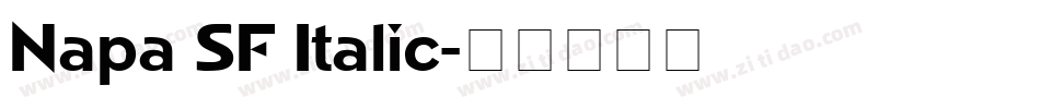 Napa SF Italic字体转换
